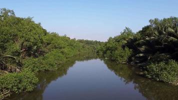 Fly low angle at the small river Sungai Jawi video