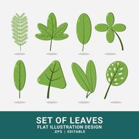 Vector graphic of leaves flat illustration design set. Using green color scheme. Suitable for graphic design assets collection