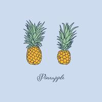 diseño de imagen de objeto aislado de piña tropical. diseño de elementos vectoriales. elemento dibujado a mano. vector