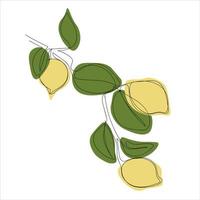 minimalistic lemon branch line art vector