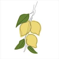 minimalistic lemon branch line art vector