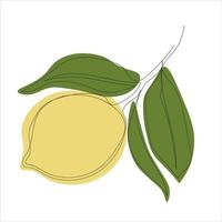 minimalistic lemon branch line art vector