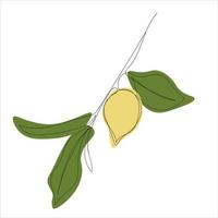 minimalistic lemon branch line art vector