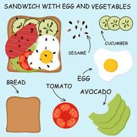 vector illustration of toast with egg and vegetables. Illustrated composition of sandwich toast.