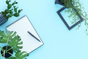 Design concept - top view of white A4 flipped paper with black clipboard, potted plant, cactus, frame and pen on pastel background. 3d rendering photo