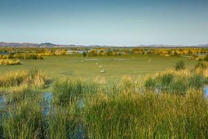 Lake Titicaca is the largest lake in South America and the highest navigable lake in the world. photo