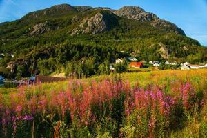 Colorful mountain scenes in Norway. Beautiful landscape of Norway, Scandinavia. Norway mountain landscape. Nature in summer. photo