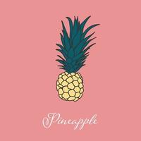 diseño de imagen de objeto aislado de piña tropical. diseño de elementos vectoriales. elemento dibujado a mano. vector