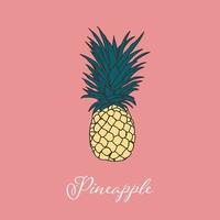 diseño de imagen de objeto aislado de piña tropical. diseño de elementos vectoriales. elemento dibujado a mano. vector