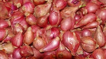 Pile of onion heads photo