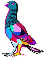 Bright vector isolated illustration of pigeon.