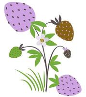 Vector isolated illustration of strawberry bush.