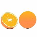 Fresh citrus fruit graphic vector illustration