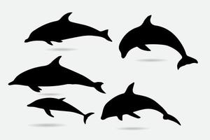 Collection of dolphin silhouette vector illustration.