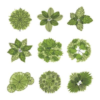 Acrhitechture Tree Plan Element Set