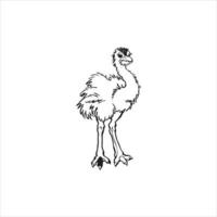 Ostrich logo design on white background. vector