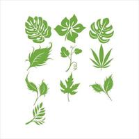 Leaves collection green vector design illustration template.