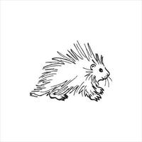 Hedgehog logo design on white background. vector