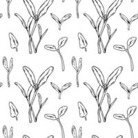 Hand drawn beet micro greens seamless pattern. Vector illustration in sketch style isolated on white background