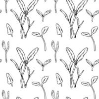 Hand drawn beet micro greens seamless pattern. Vector illustration in sketch style isolated on white background