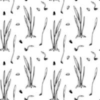 Hand drawn barley micro greens seamless pattern. Vector illustration in sketch style isolated on white background
