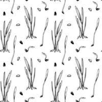 Hand drawn barley micro greens seamless pattern. Vector illustration in sketch style isolated on white background