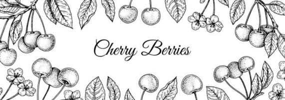 Hand drawn Cherry berries design for packaging. Vector illustration in sketch stile