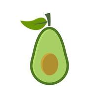 colorful realistic avocado illustration in flat design style vector