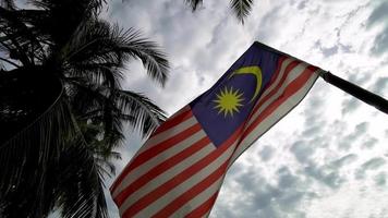 zeitlupe malaysia flagge bewegt sich auf kokospalme video