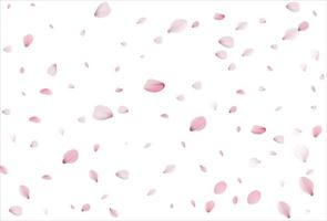 Cherry petals backdrop. Sakura petals background. vector