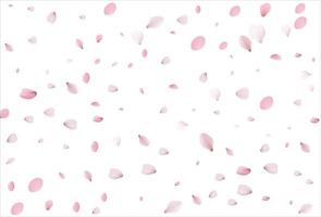 Sakura petals. Cherry petals backdrop vector