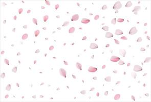 Sakura petals background. Cherry petals vector