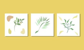 Set of botanical dun vector illustrations