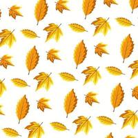 patrón otoño equinoccio día vector ilustración