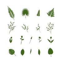 ilustración de un conjunto de naturaleza con temas de arte de hojas y flores naturales vector