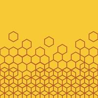 Honeycomb abstract line pattern background vector