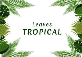 Illustration Vector Leaves Green Tropical