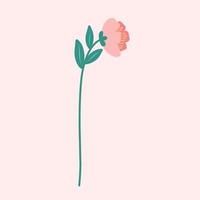 Peach flower vector