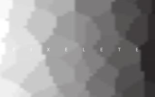 Abstract black and white pixelete background vector
