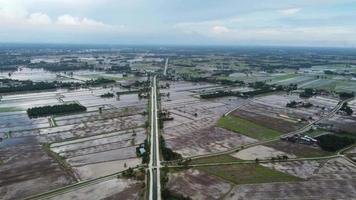 panoramique aérien voir la saison de l'eau à la rizière video