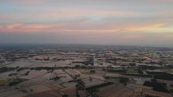 saison de l'eau panoramique aérienne à la rizière en malaisie video