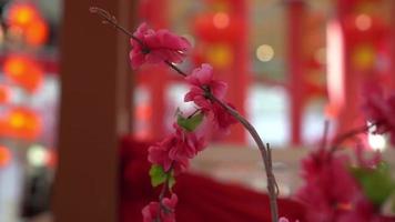 Artificial plum blossoms in red lantern background video