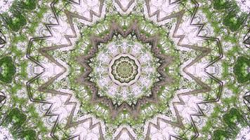 Green plant kaleidoscopic animation. video