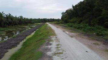 mover-se sobre a estrada rural com macaco em movimento video