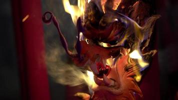 Select focus chinese dragon head incense burn video