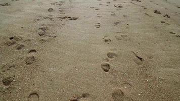 muévete lento y sigue el rastro en la playa video