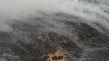 fuoco aereo che brucia nel sito di riempimento video