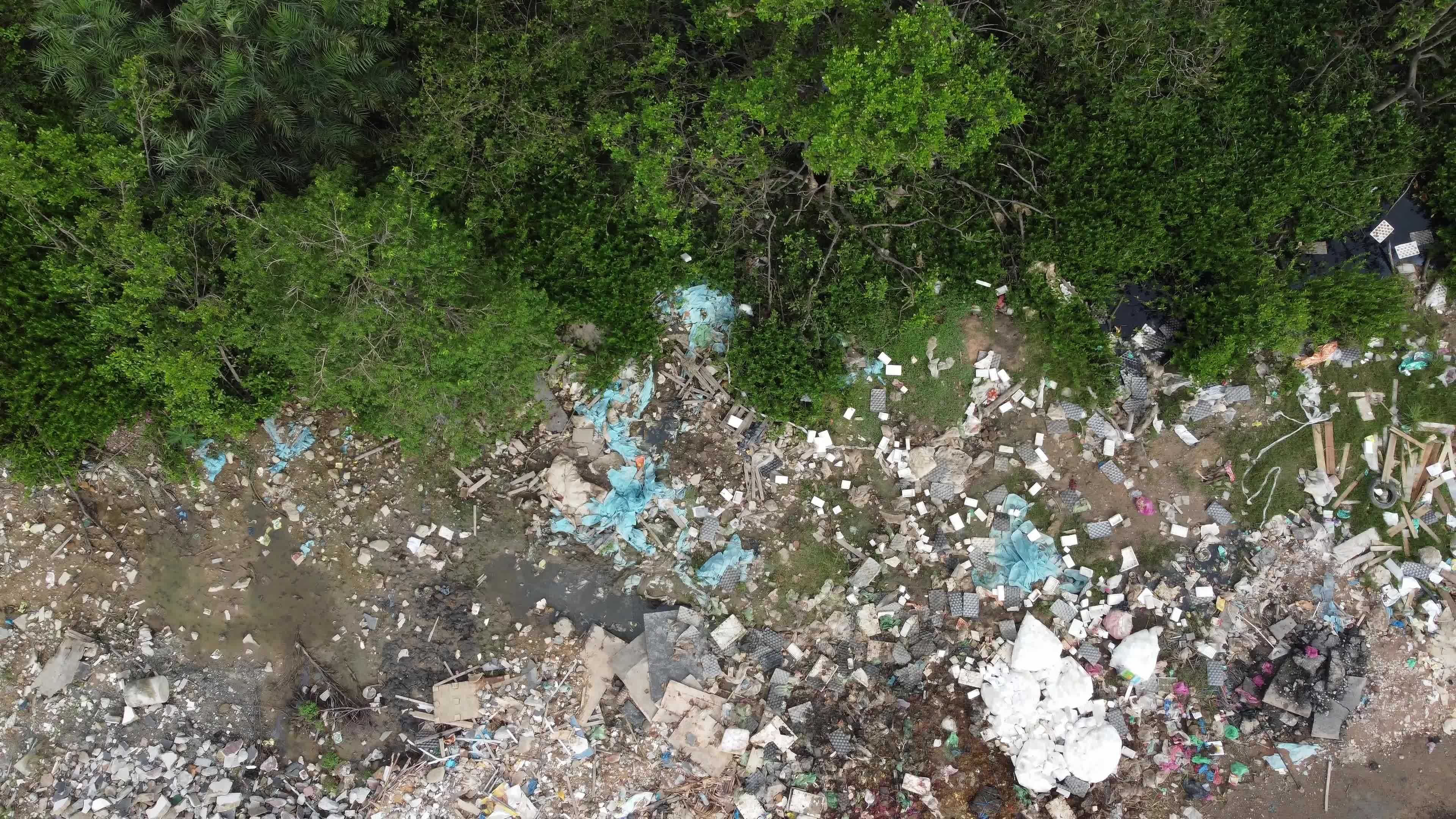 Dump site near tree 7937656 Stock Video at Vecteezy