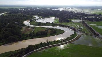 Aerial view curve river near water paddy video