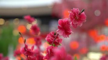 Artificial red plum blossom decoration video